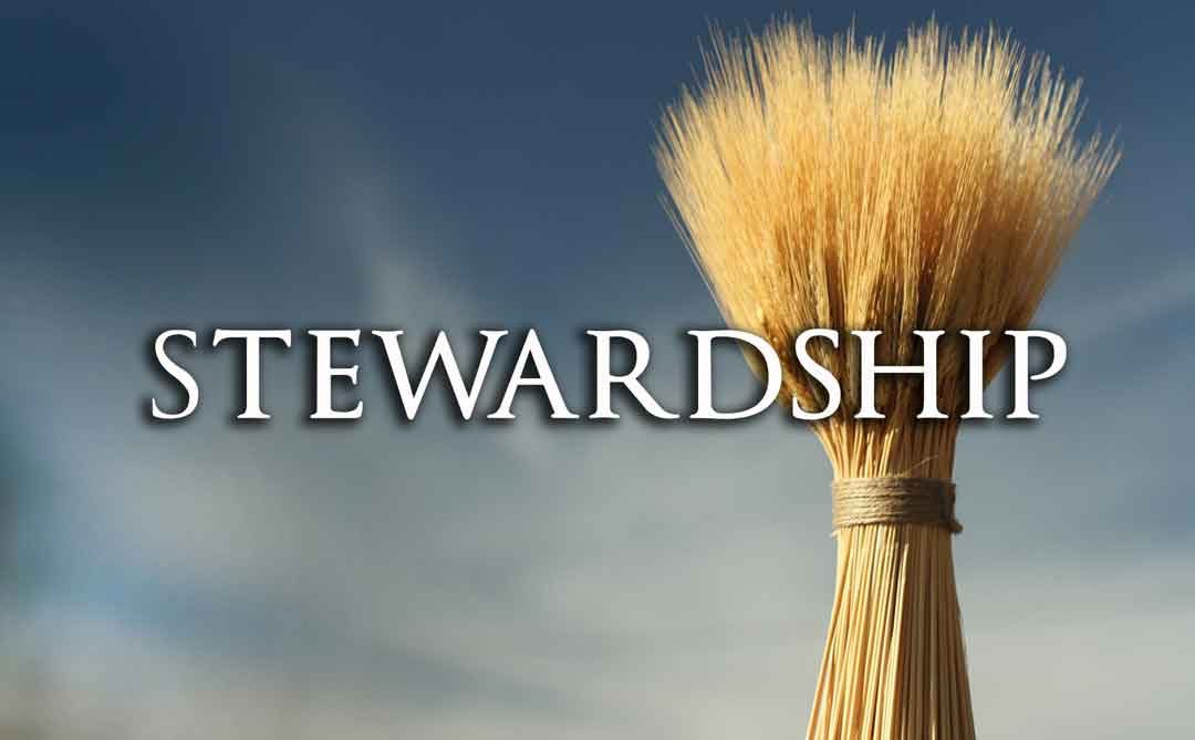 stewardship-pic