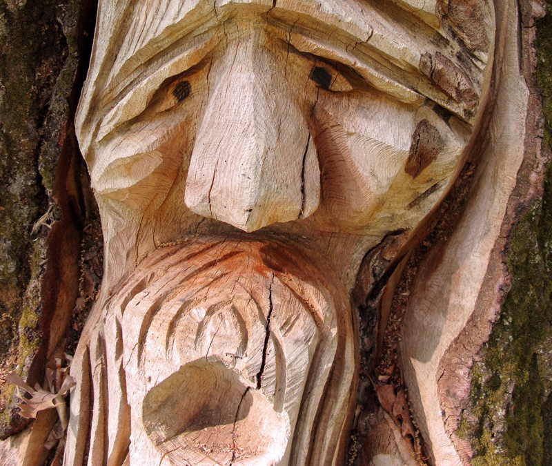 tree carving - anguish