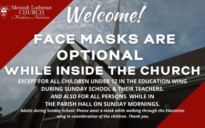 Current Mask Policy at MLC – Explained